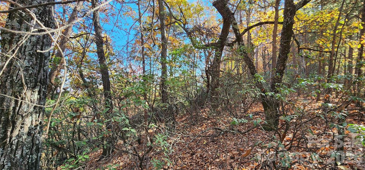 Lot 22 A Pinnacle Pkwy. #22 A, Union Mills, NC 28167
