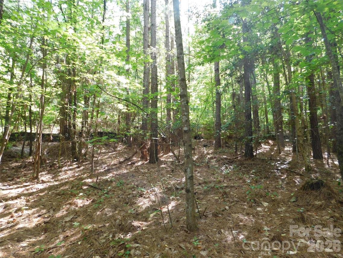207 W Settings Blvd., Valdese, NC 28690