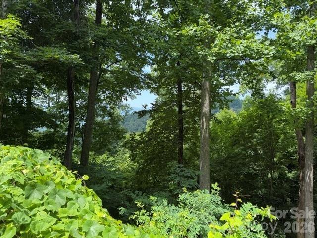 Lot 22 Spring Rock Rd., Burnsville, NC 28714