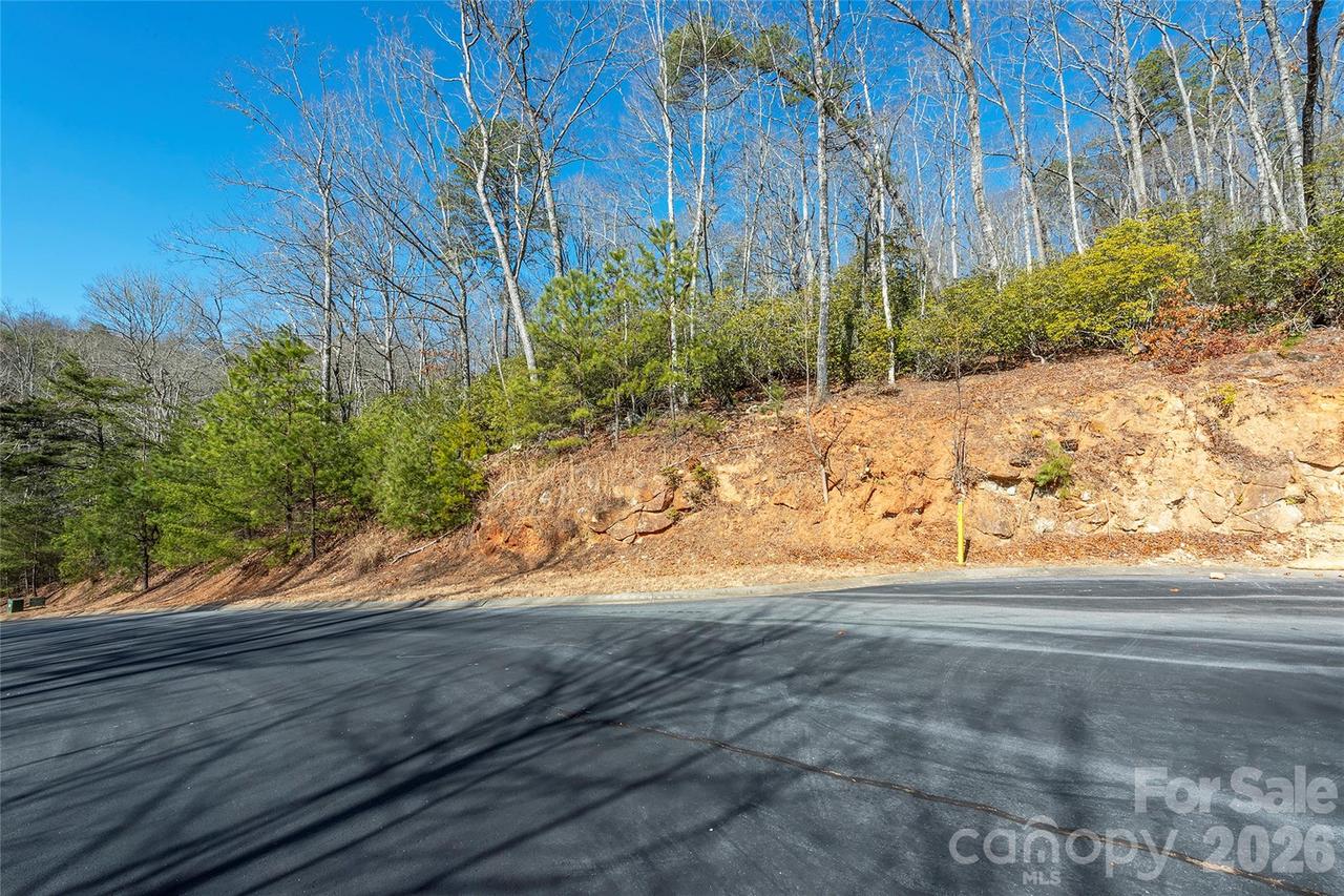 99999 Caddis Ln. #92, Horse Shoe, NC 28742