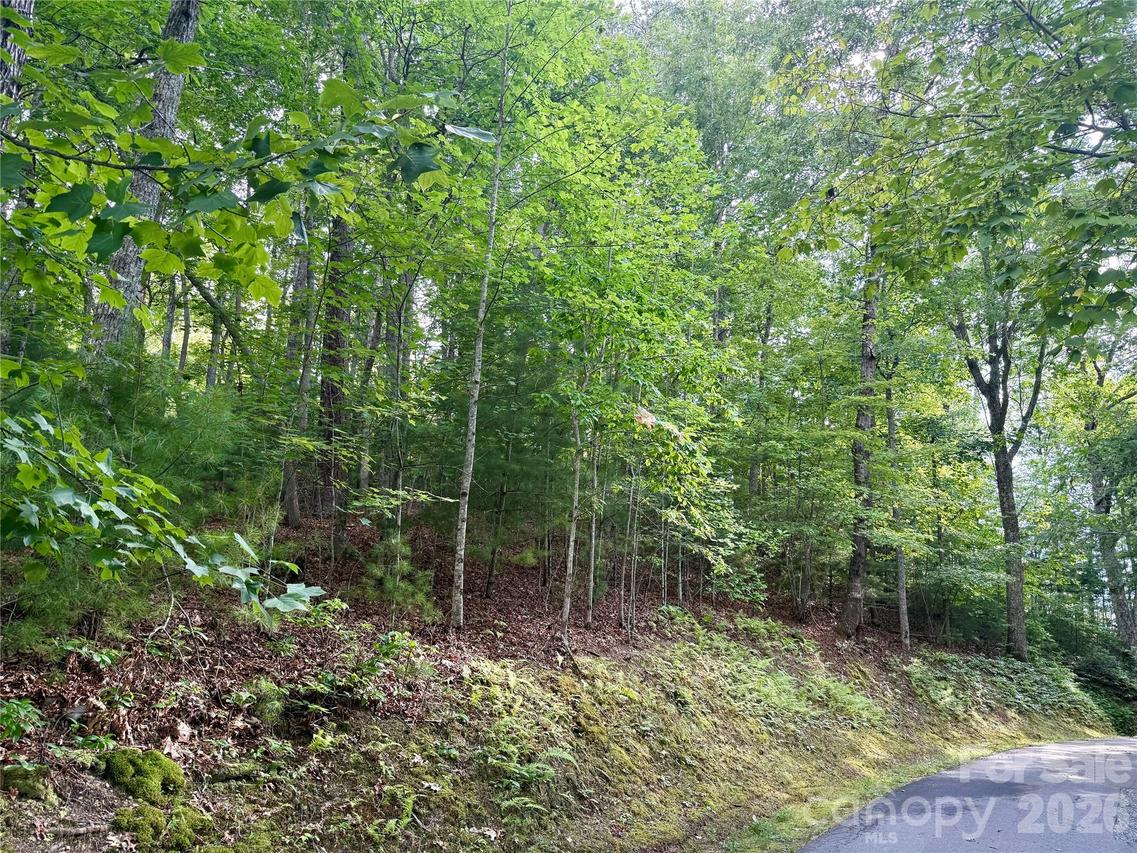 75 Longview Ct. #4, Marshall, NC 28753