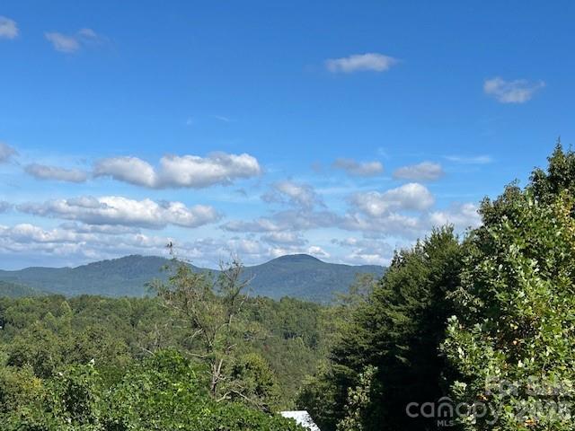 Tahawus Dr., Bostic, NC 28018