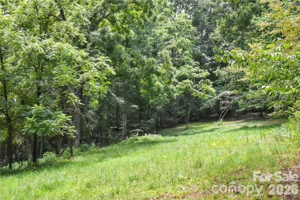 19 Laurel Loop Rd., Fairview, NC 28730