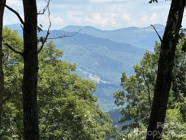 110 Cabin Ridge, Waynesville, NC 28785