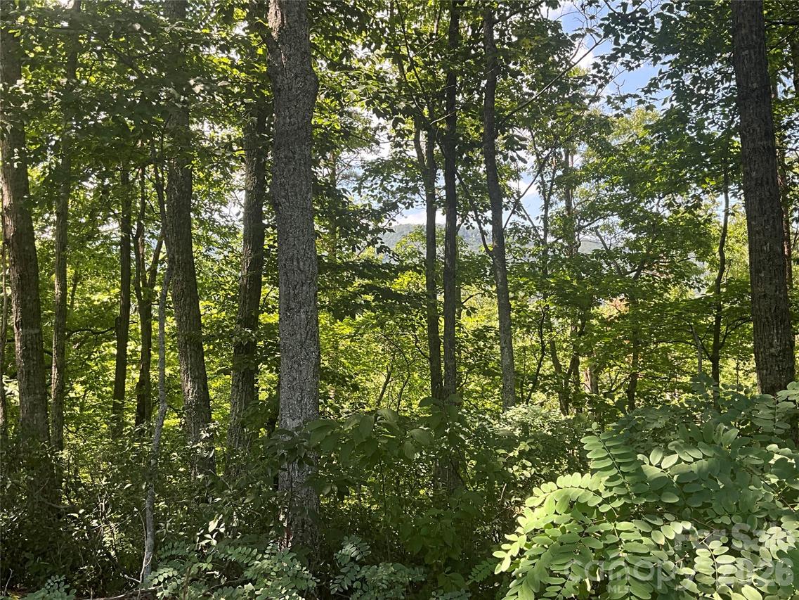Lot 67 Treetops Ln., Lake Lure, NC 28746