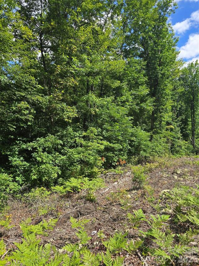 0000 Nancy Mountain Rd., Rosman, NC 28772