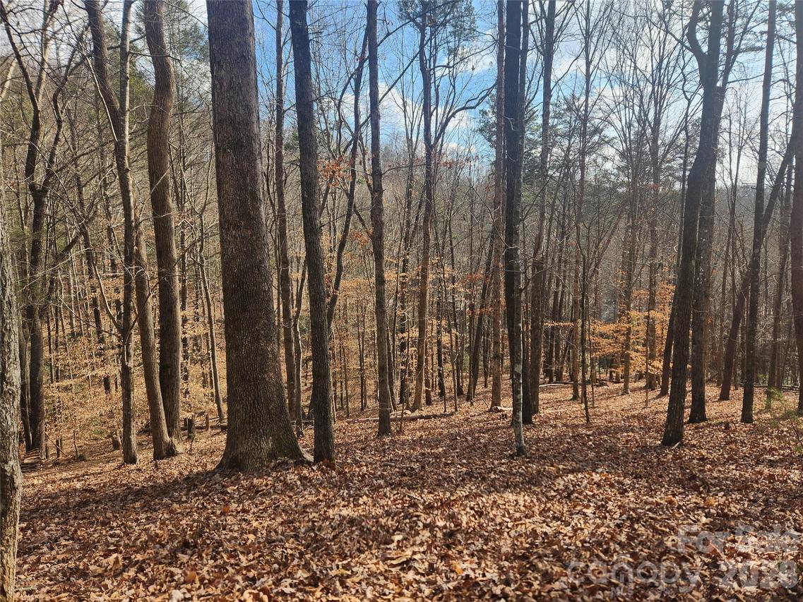 Lot 83 Walnut Ln., Lake Lure, NC 28746