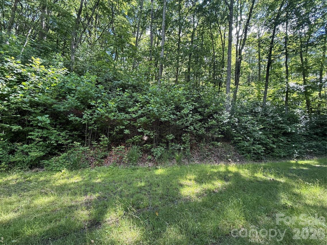 999 Hawks Nest Dr. #86, Burnsville, NC 28714