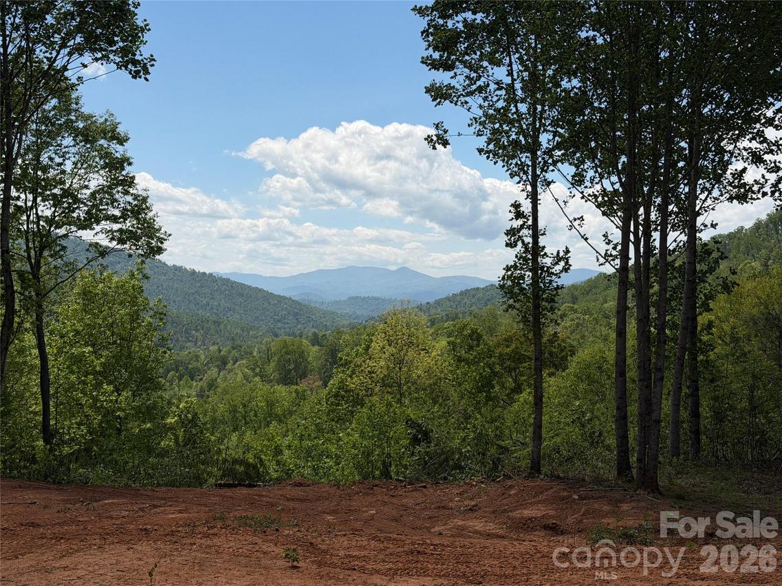 99999 Tipton Ln., Bakersville, NC 28705