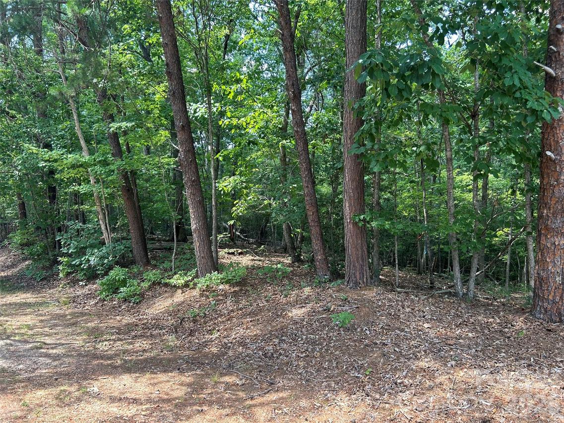 111 Peach Dr. #333, Troy, NC 27371
