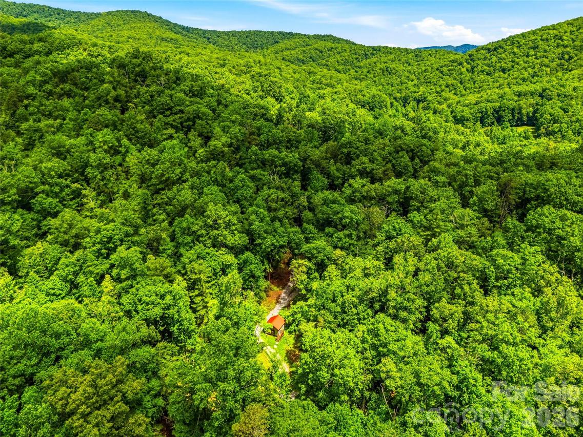 45 Watagnee Tr., Horse Shoe, NC 28742