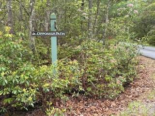 FR16 Opossum Path #FR 16, Brevard, NC 28712