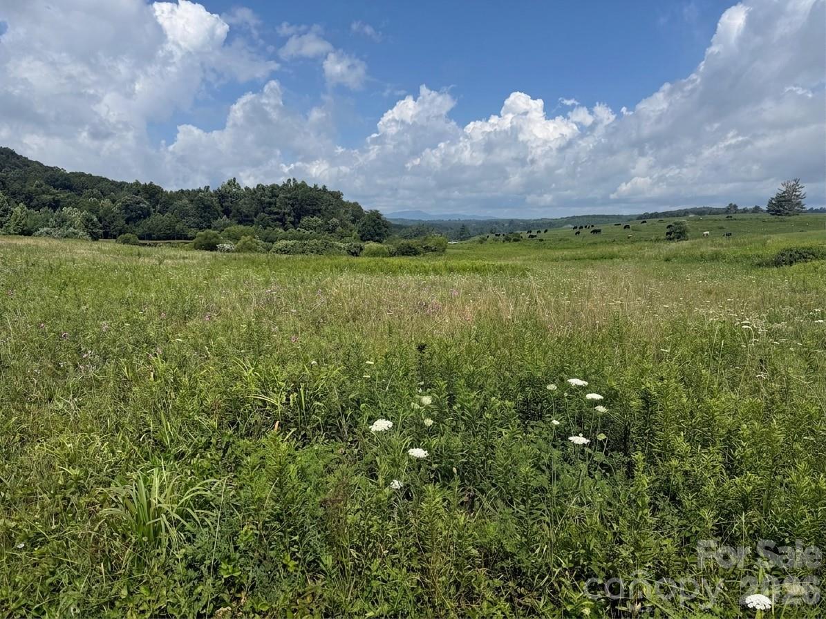 TBD Blue Ridge Estates, Ennice, NC 28623