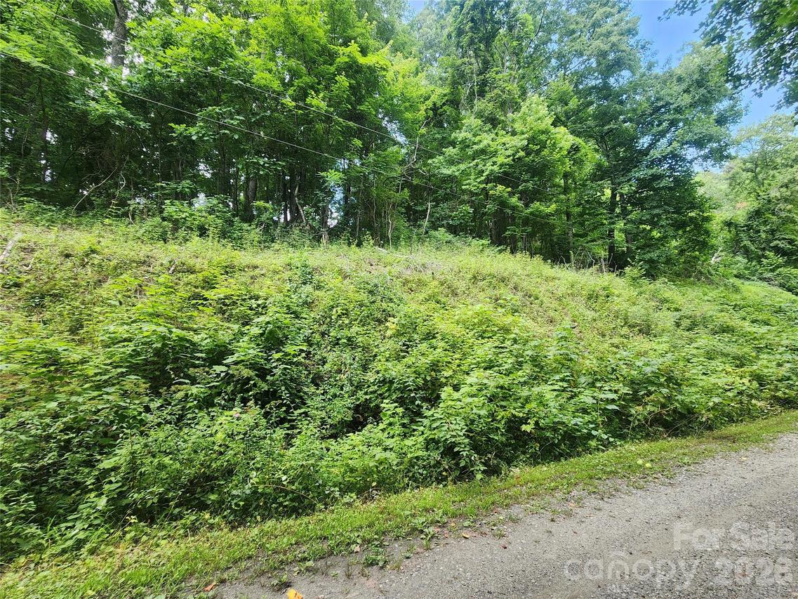 000 Jacks Knob Rd., Weaverville, NC 28787