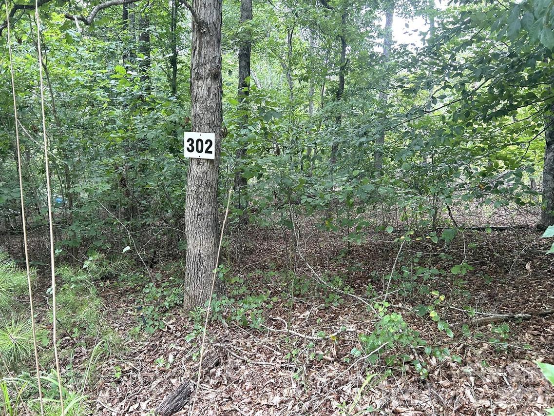 00 Bitteroot Cir. #302, Rutherfordton, NC 28139