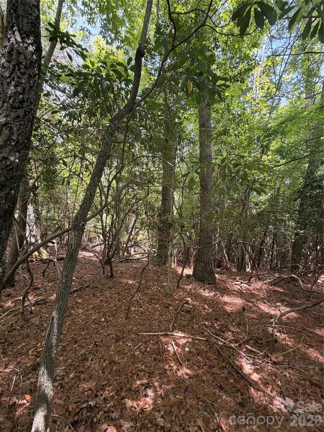 TBD Dvga Ct. #L031/U09, Brevard, NC 28712