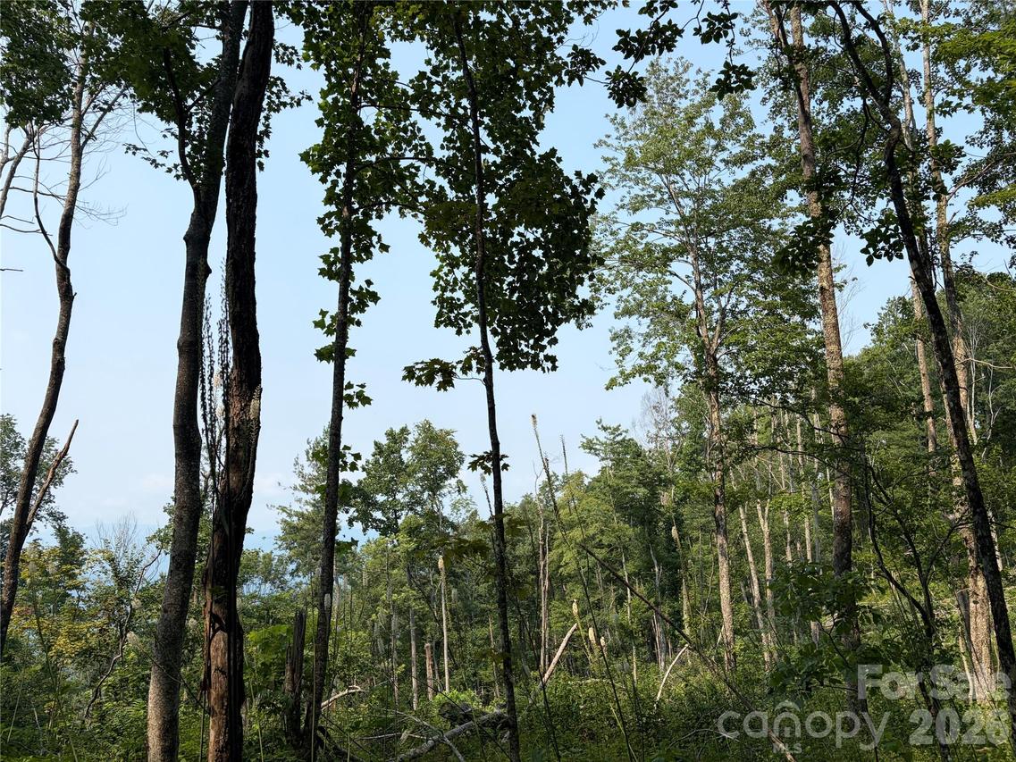 000 Catbrier Ln., Burnsville, NC 28714