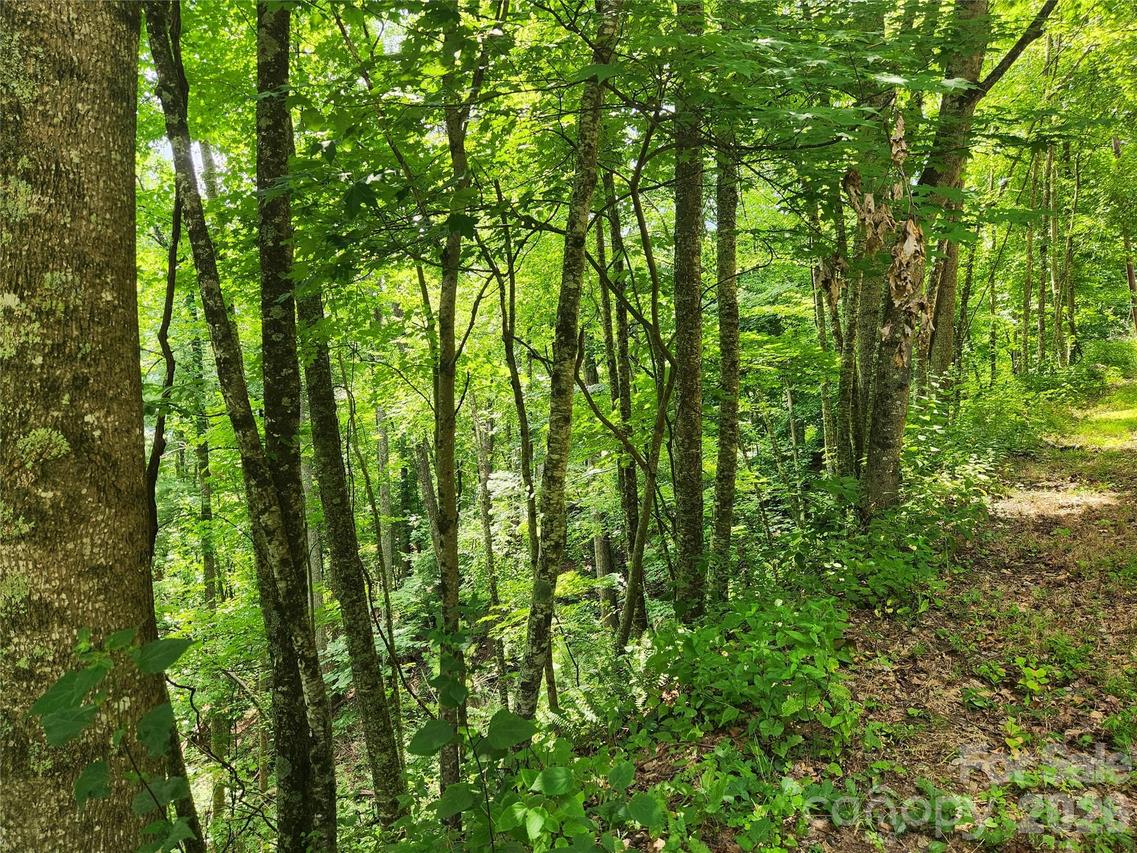 00 Green Ridge Falls Rd., Weaverville, NC 28787
