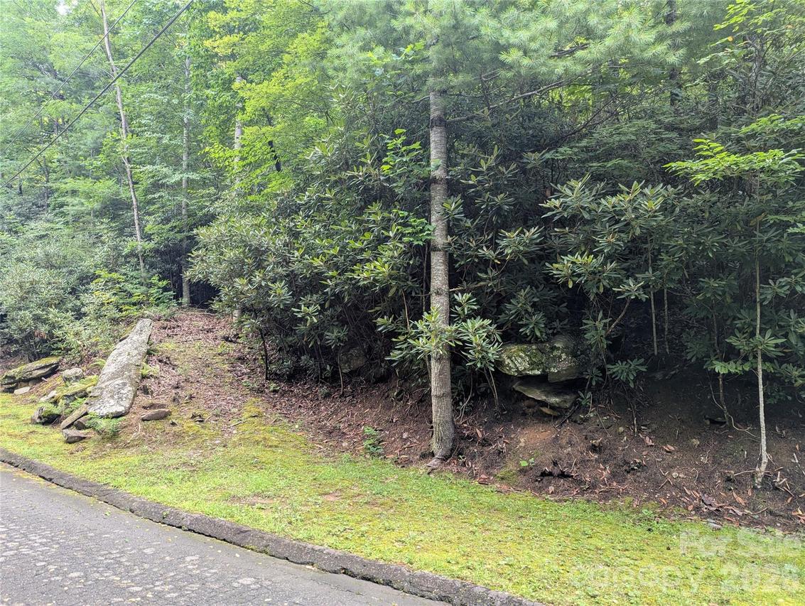 99999 Maryland Pl. #1426, Montreat, NC 28757