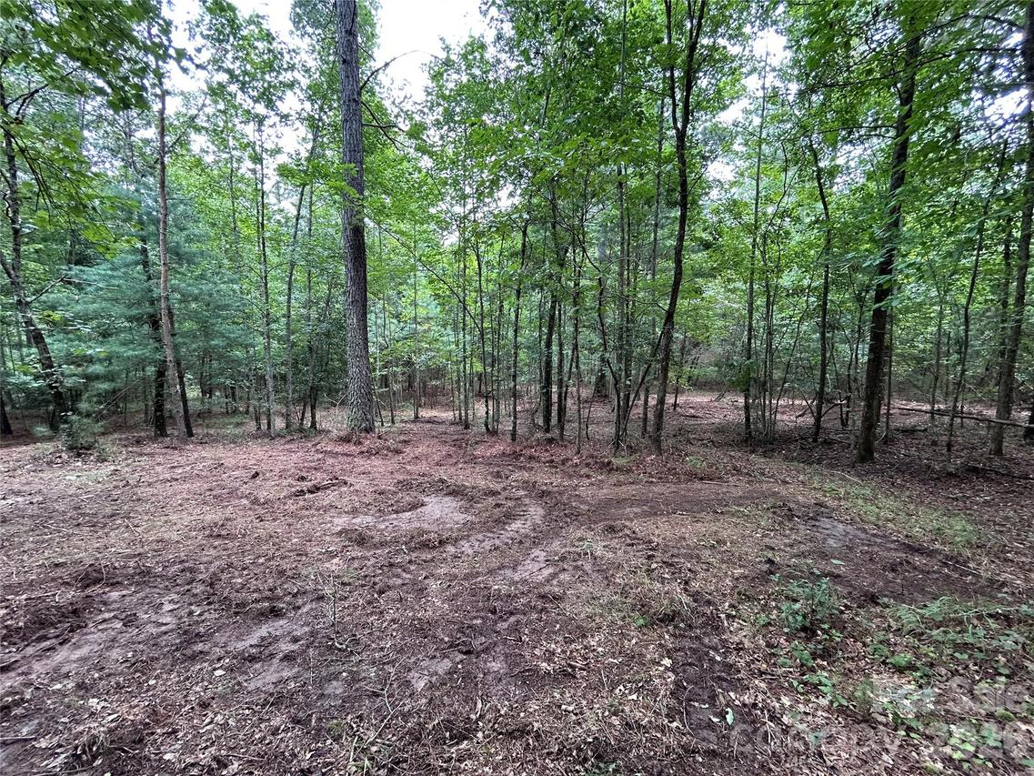 1036 W Paradise Harbor Dr., Connelly Springs, NC 28612