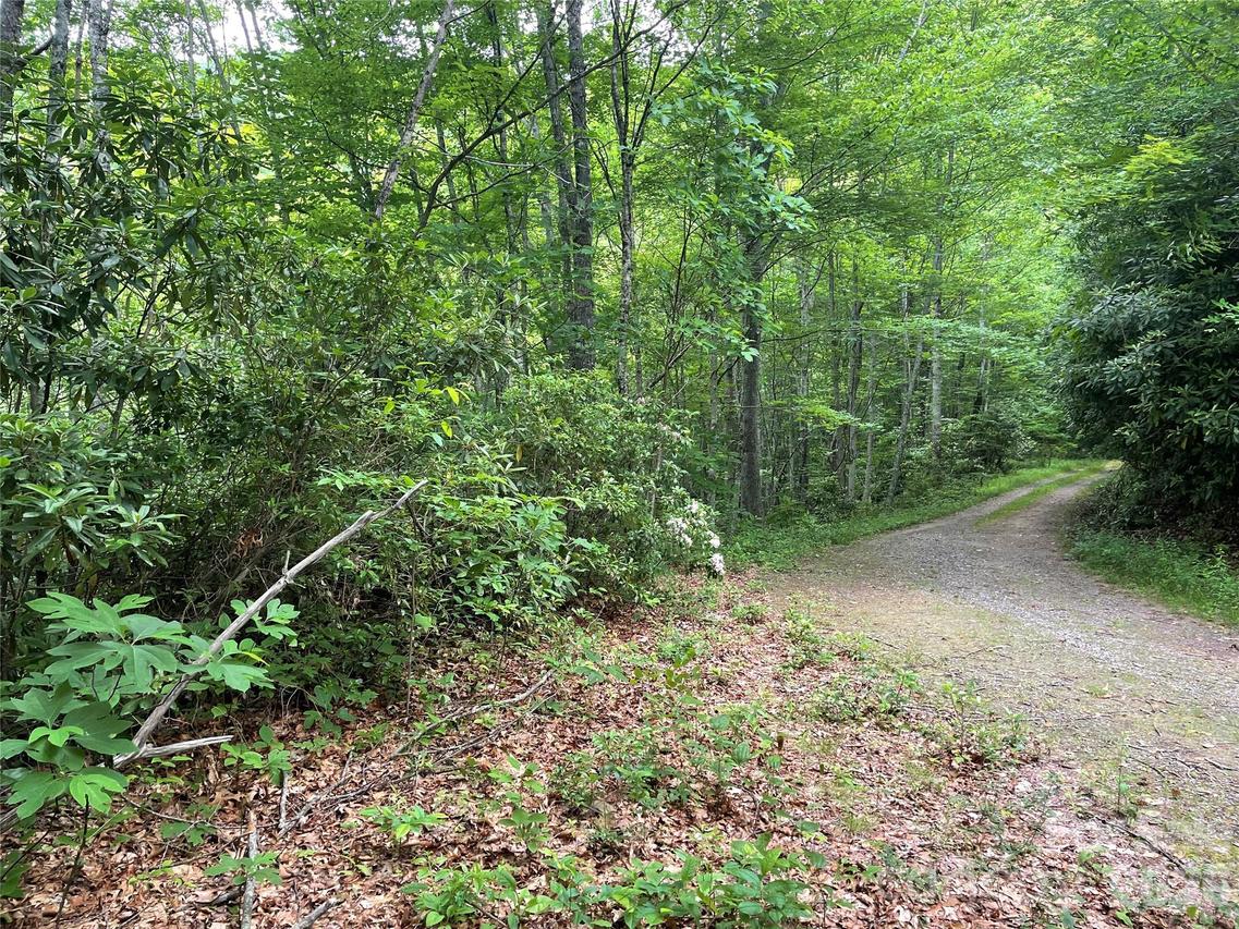 Lt 279 Cabin Flats Rd. #279, Balsam, NC 28707
