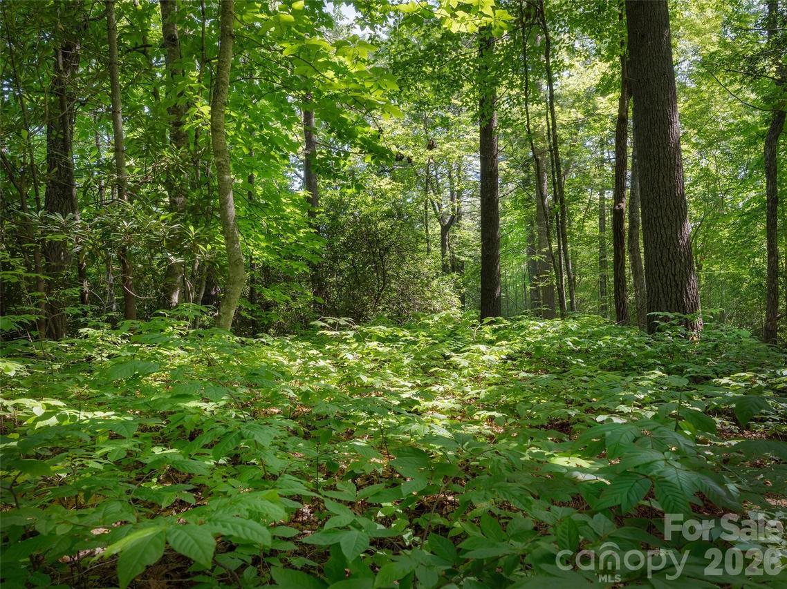 Lot 161 Eagle Lake Dr., Brevard, NC 28712