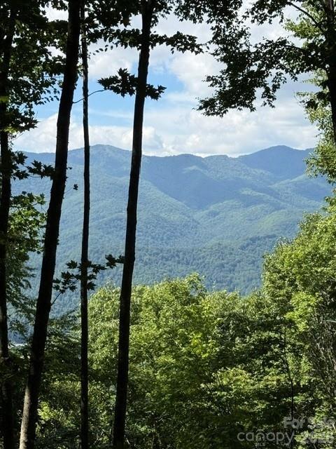 140 Boar Ridge Rd., Sylva, NC 28779