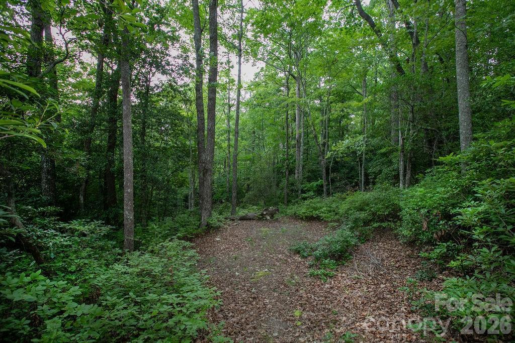 Lot 28 Big Hill Rd. #28, Brevard, NC 28712