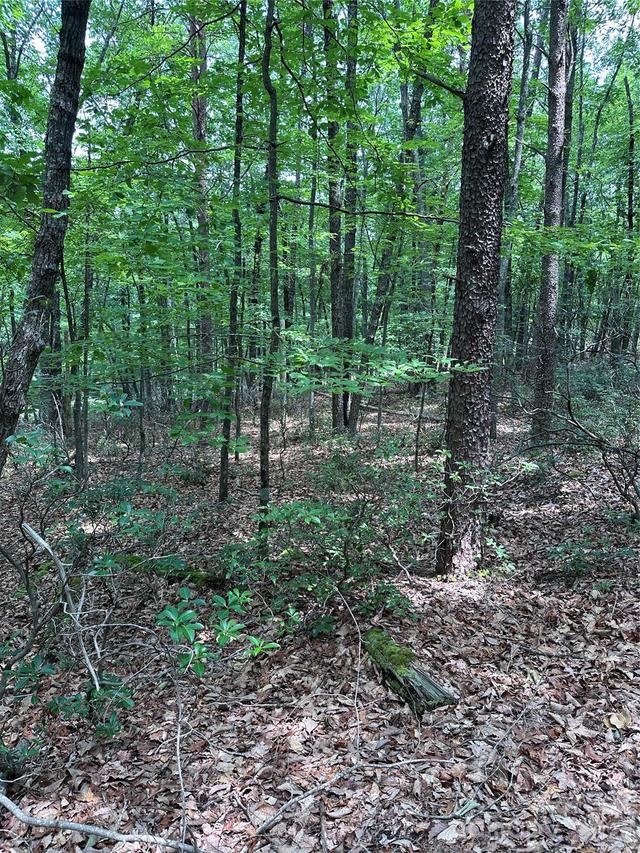 1070 Elm St., Danbury, NC 27016