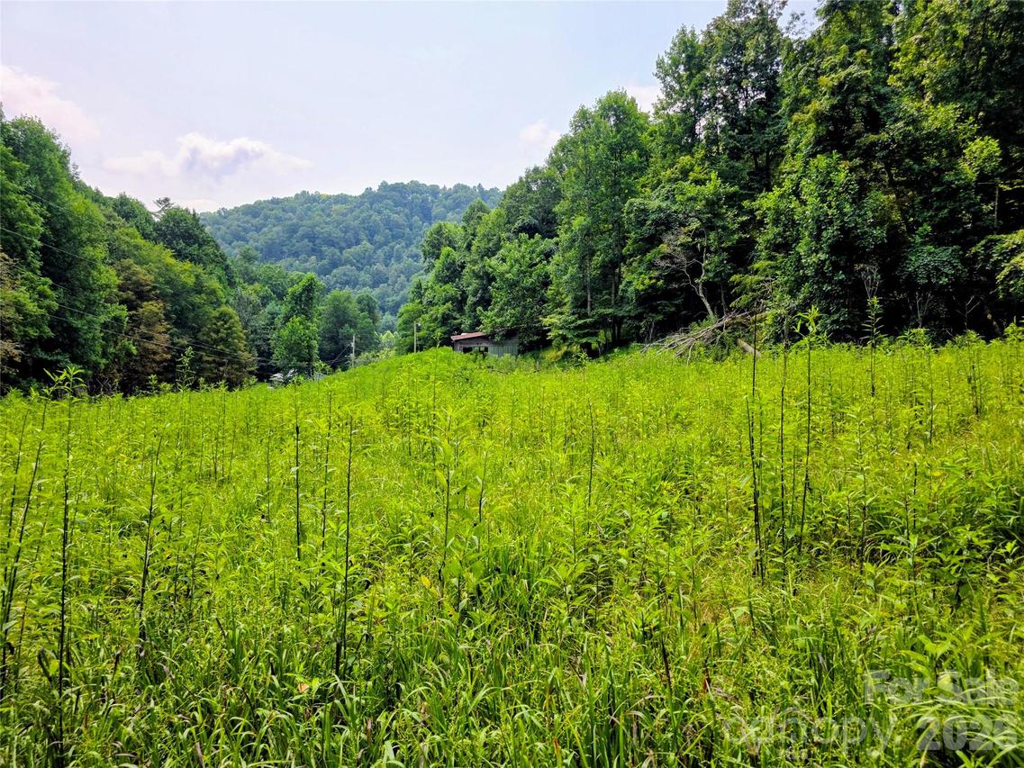 98 Will Wilson Rd., Burnsville, NC 28714