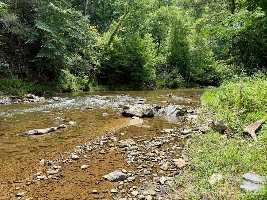 1156 Bear River Lodge Tr., Marshall, NC 28753