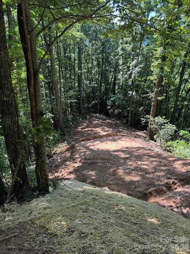 97 Hosta Dr., Sylva, NC 28779