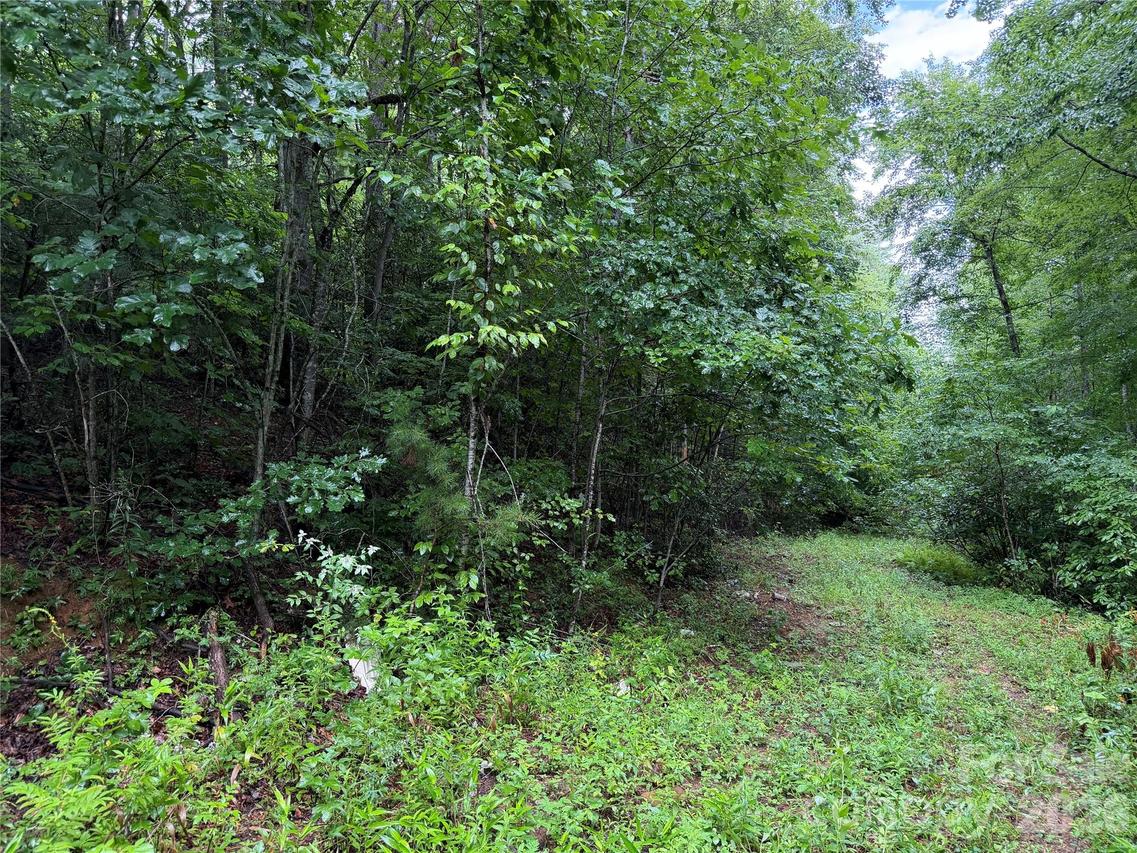 Off Donald Mccall Rd., Balsam Grove, NC 28708