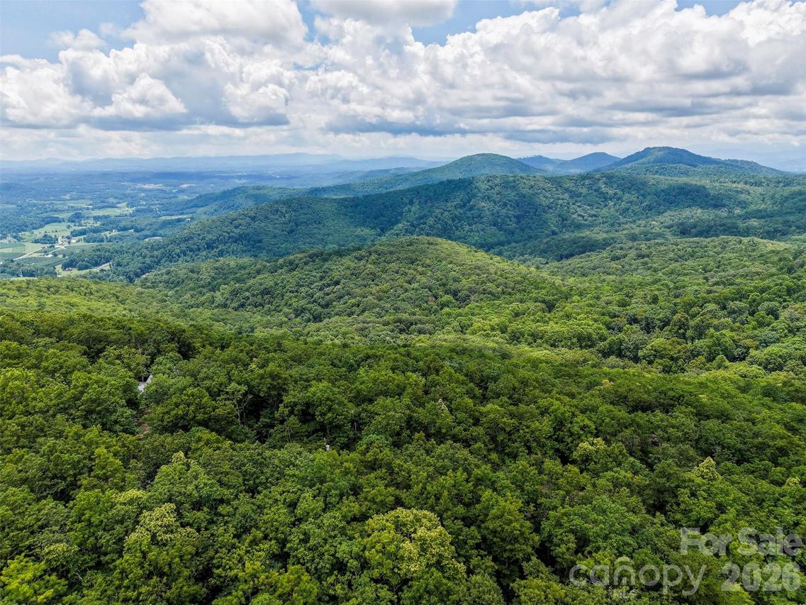 NA Pine Ridge Rd. #60, Hendersonville, NC 28792