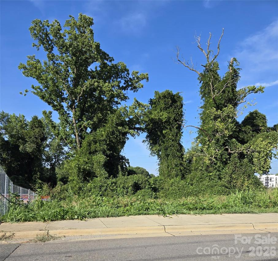 204 W 28th St., Charlotte, NC 28206