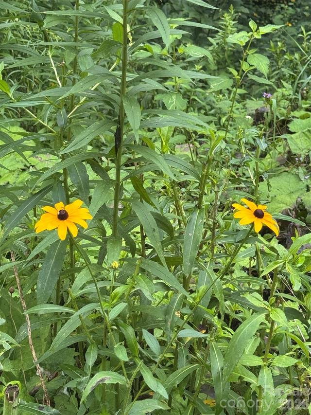 TBD Sugar Mountain 2 Rd. #B, Newland, NC 28657