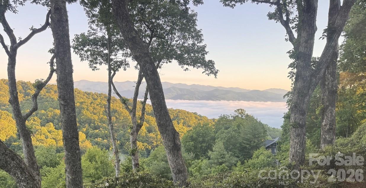 298 Tinequa Dr., Brevard, NC 28712