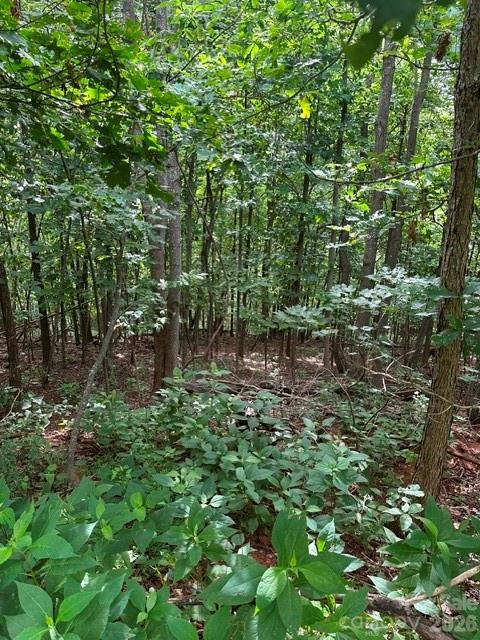 Cove Gap Rd. #1, Moravian Falls, NC 28654
