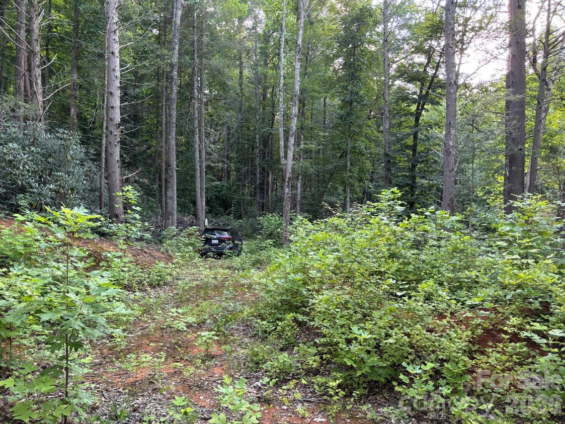 Lot 41 Peace Wood Ln. #41, Hendersonville, NC 28792