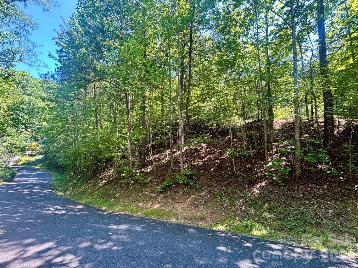 Lot 77 Winesap Blvd., Lake Lure, NC 28746