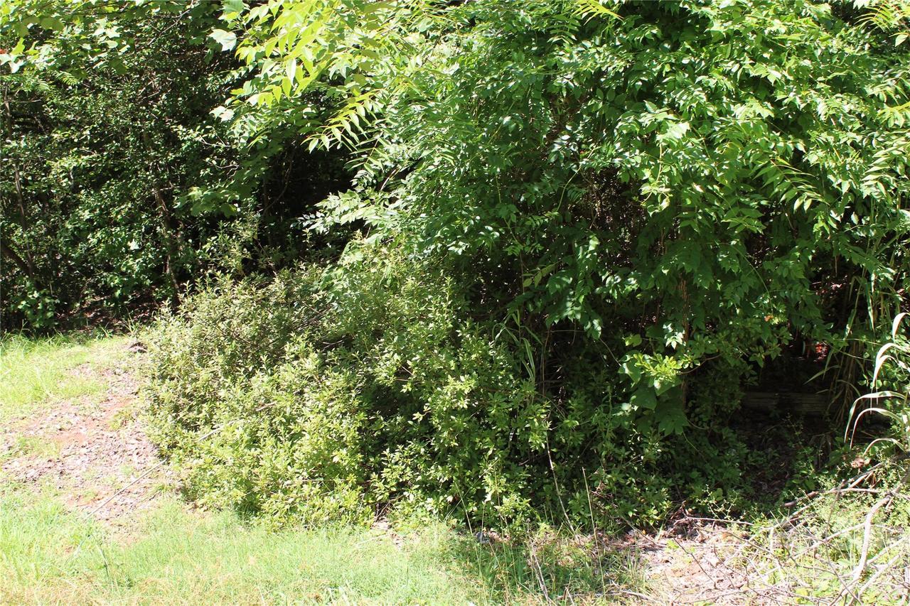 3041 Bills Creek Rd., Lake Lure, NC 28746