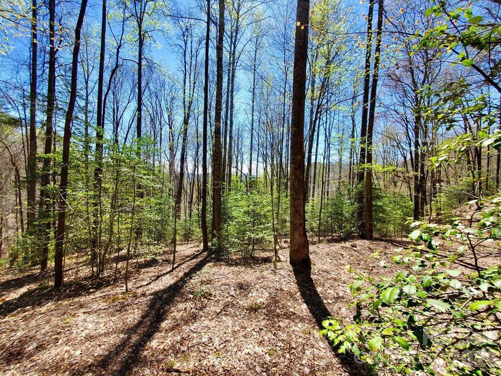 Lot 9 Hemlock Falls Dr. #9, Sylva, NC 28779