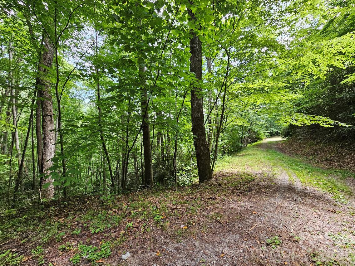 00 Autumn Dr. #2, Waynesville, NC 28785