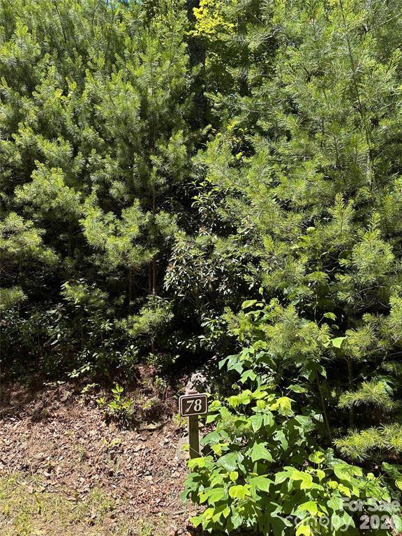 66 Boone Cove Rd., Zirconia, NC 28790