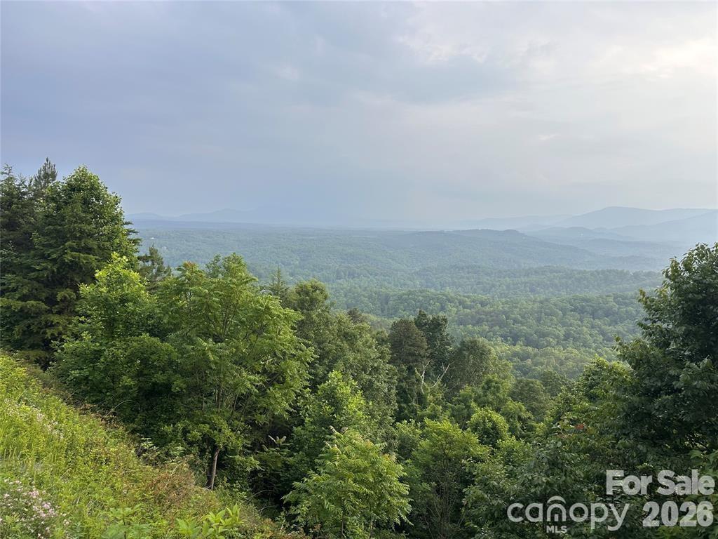 Golden Ridge Dr., Lake Lure, NC 28746