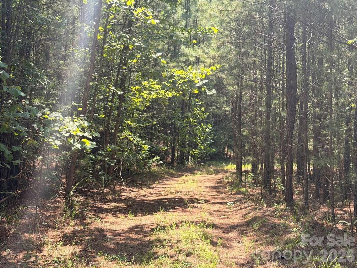 000 Thompson Lake Rd., Rutherfordton, NC 28139