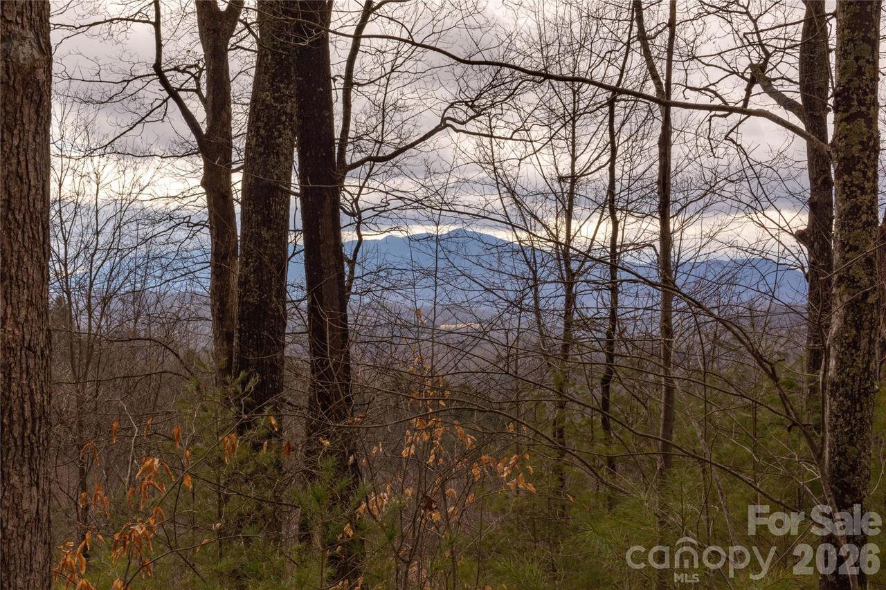 Ashland Mountain Rd., Bakersville, NC 28705