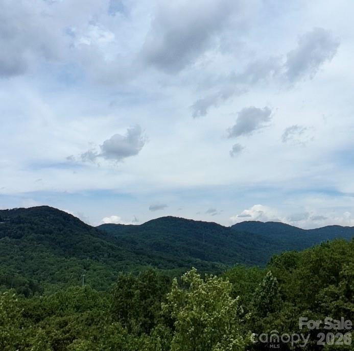 Ridgecrest Rd., Lake Lure, NC 28746