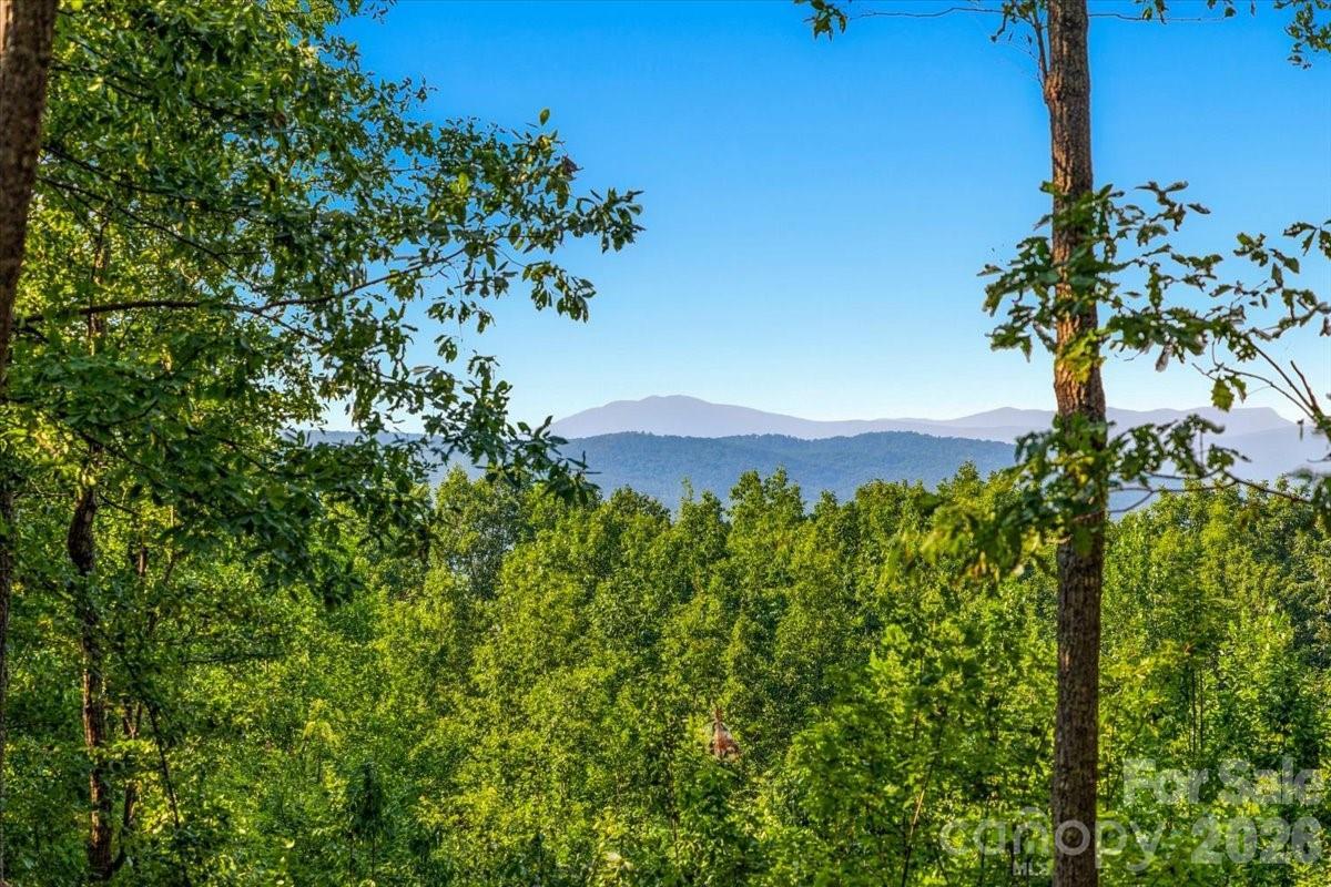 207 Mossy Oak Tr. #166, Nebo, NC 28761