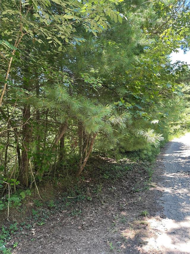 3960 Winston Dr., Morganton, NC 28655